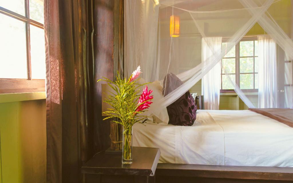 Island Plantation (Adults Only) Hotell La Gruta Rum bild
